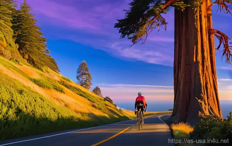 미국 자전거 여행 추천 루트 - **Prompt 1: The Grand American Cycling Vista**
"A lone cyclist, wearing modern athletic cycling ...