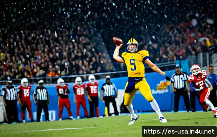 미국 NFL 슈퍼볼 명승부 관련 이미지 1